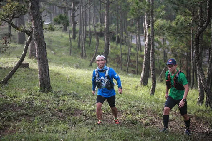 Goal vs Habit (System)