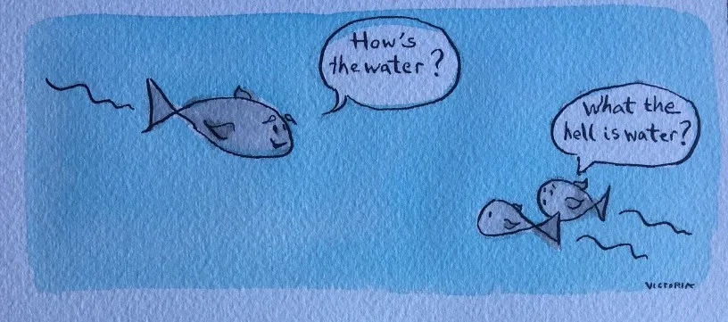 What the hell is water